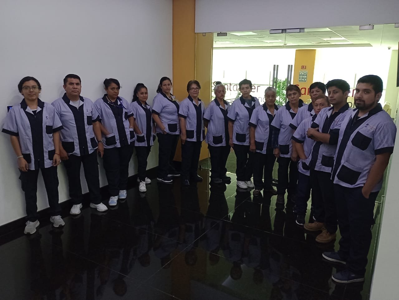 Equipo de profesionales de limpieza